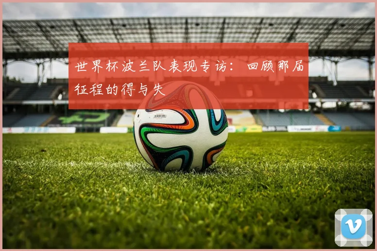 世界杯波兰队表现专访：回顾那届征程的得与失