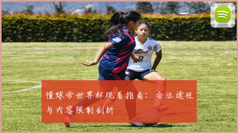懂球帝世界杯观看指南：合法途径与内容限制剖析