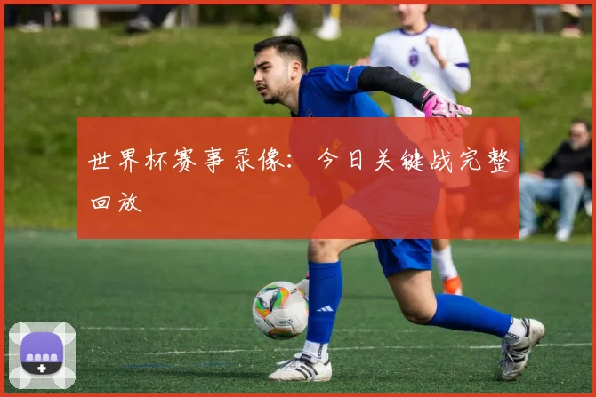 世界杯赛事录像：今日关键战完整回放